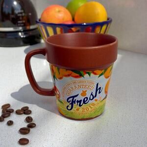 Disney 2018 Epcot Flower Garden Festival Mickey Pluto Orange Bird Flower Pot Mug